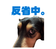 848929050
