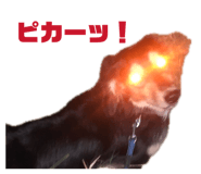 848929052