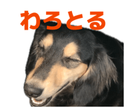 848929059