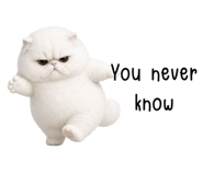 848929133
