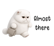 848929145