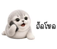 848929177