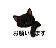 848933146