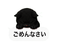 848933150