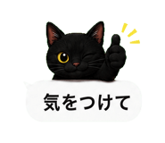 848933155