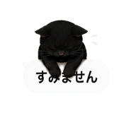 848933174
