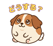 848935298