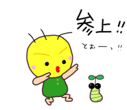 848937977