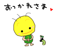 848937981