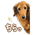 848947316