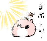 848948368