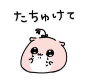 848948370