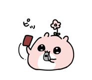 848948398