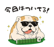 848952164