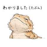 848960507