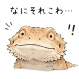 848960512