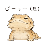 848960513