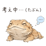 848960514