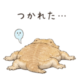 848960515