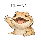 848960534