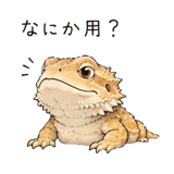 848960535