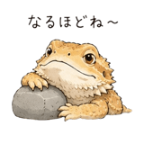 848960537