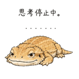 848960542