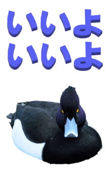 848966641