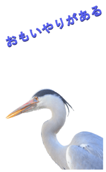 848966644