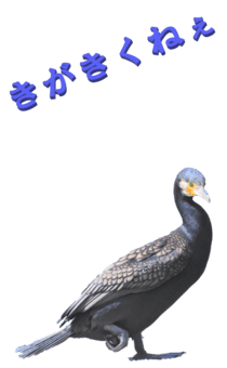 848966649