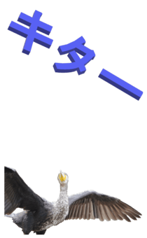 848966650