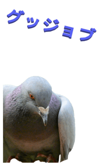 848966651