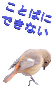 848966653