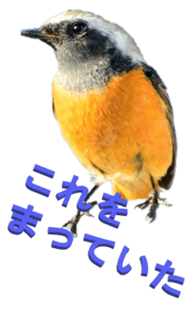 848966655
