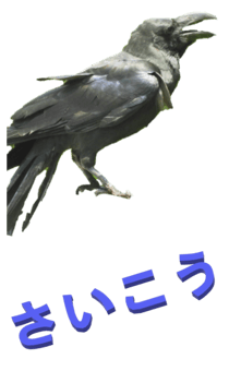 848966657