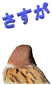 848966658