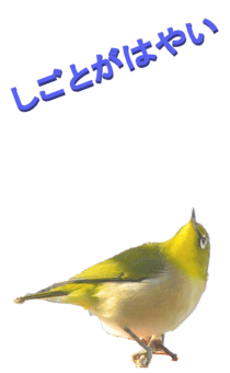 848966660