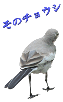 848966668