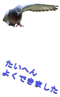 848966670