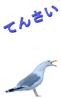 848966672