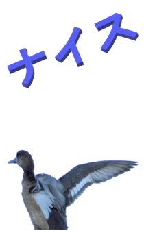 848966674