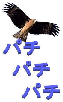 848966675