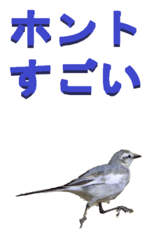848966676