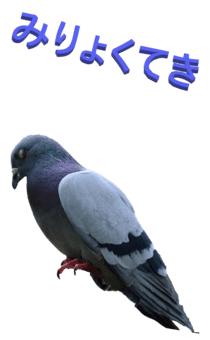 848966677