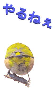 848966678