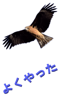 848966680