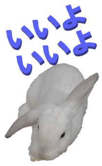848966929