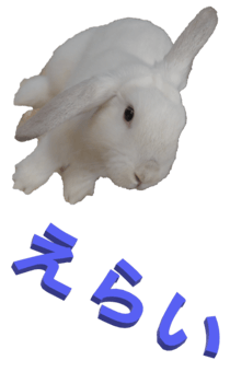 848966931