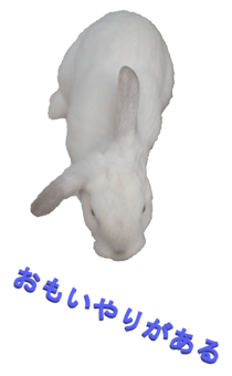 848966932