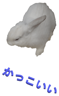848966933